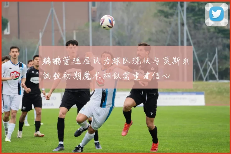 鹈鹕管理层认为球队现状与莫斯利执教初期魔术相似需重建信心