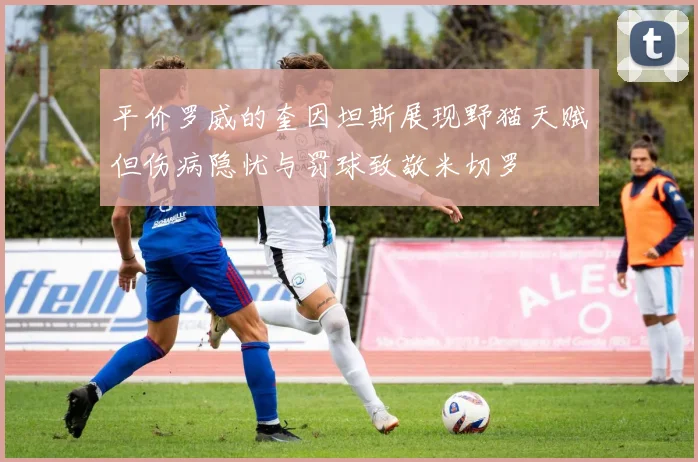 平价罗威的奎因坦斯展现野猫天赋但伤病隐忧与罚球致敬米切罗