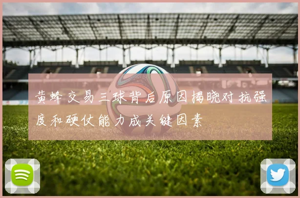 黄蜂交易三球背后原因揭晓对抗强度和硬仗能力成关键因素