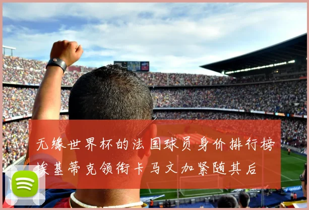 无缘世界杯的法国球员身价排行榜埃基蒂克领衔卡马文加紧随其后